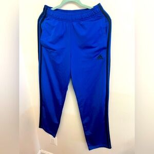 Adidas Blue Joggers with Elastic Waistband and Tapered Legs